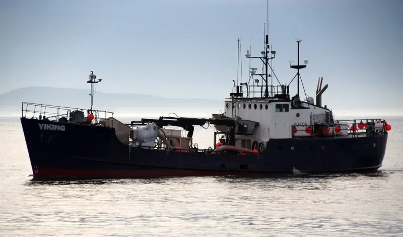 VIKING Fishing Vessel IMO 7309780 photo 5