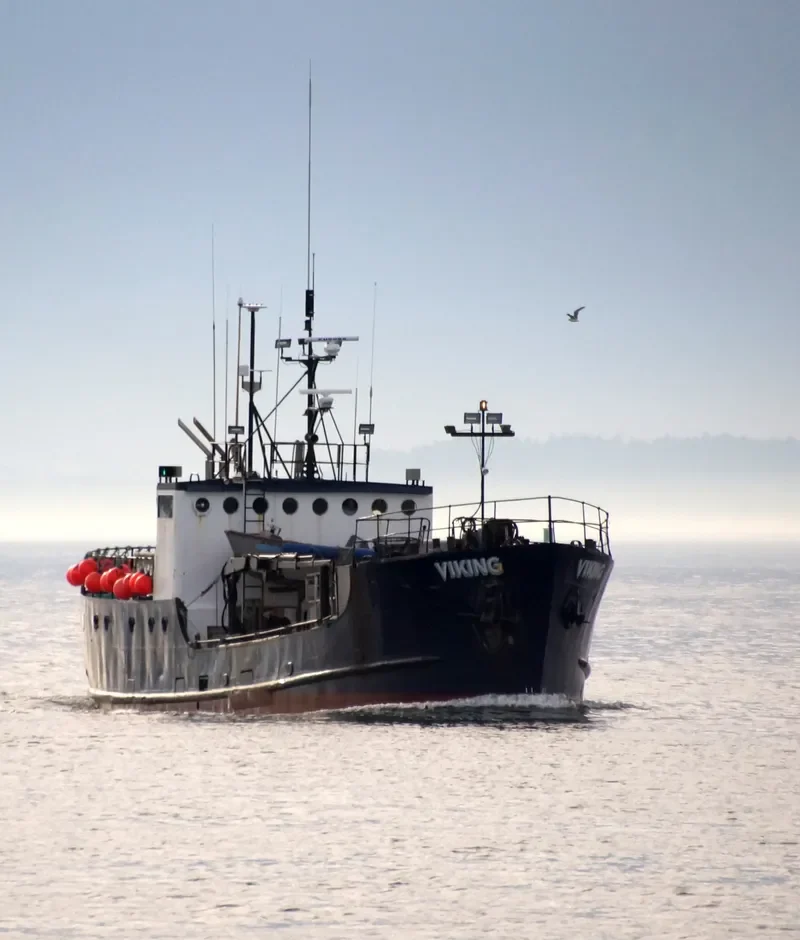 VIKING Fishing Vessel IMO 7309780 photo 7