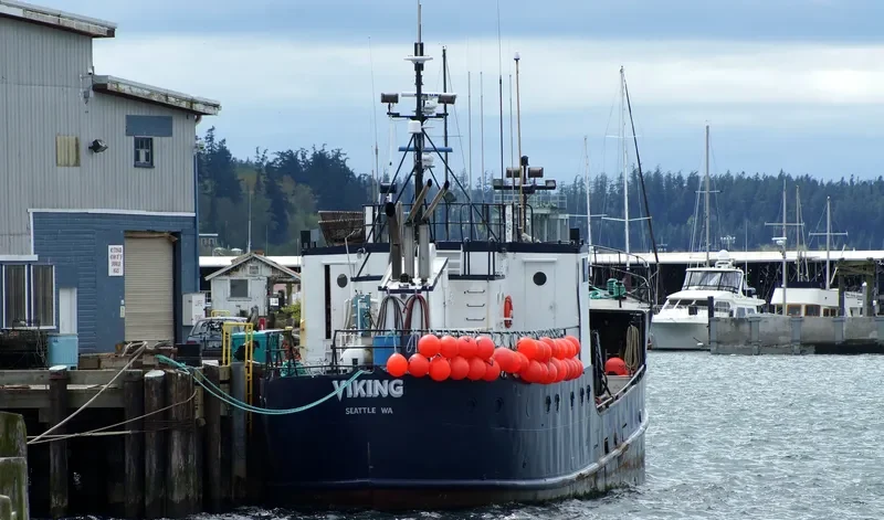VIKING Fishing Vessel IMO 7309780 photo 8