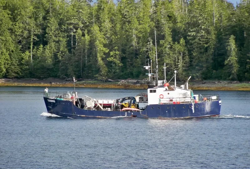 VIKING Fishing Vessel IMO 7309780 photo 9
