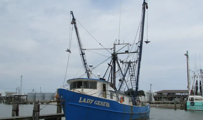 LADY GENEVA Fishing Vessel IMO 7310478