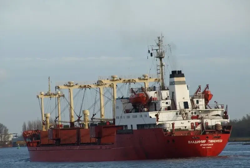 VLADIMIR TIMOFEYEV General Cargo IMO 7310636 photo 7