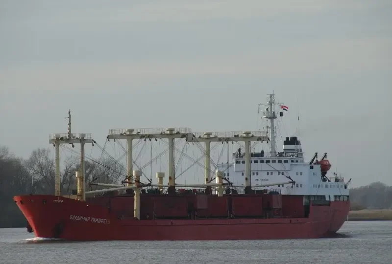 VLADIMIR TIMOFEYEV General Cargo IMO 7310636 photo 8
