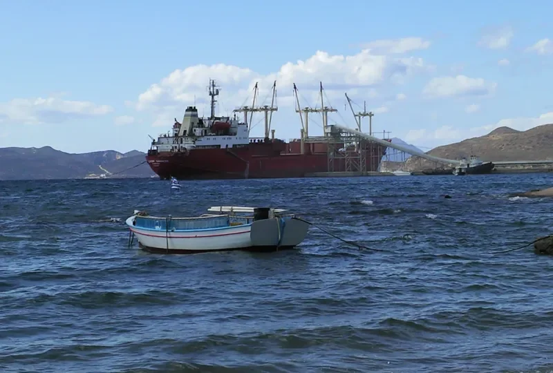 VLADIMIR TIMOFEYEV General Cargo IMO 7310636 photo 10