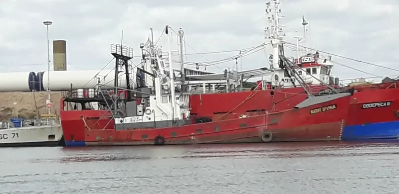 MADRE DIVINA Fishing Vessel IMO 7310686