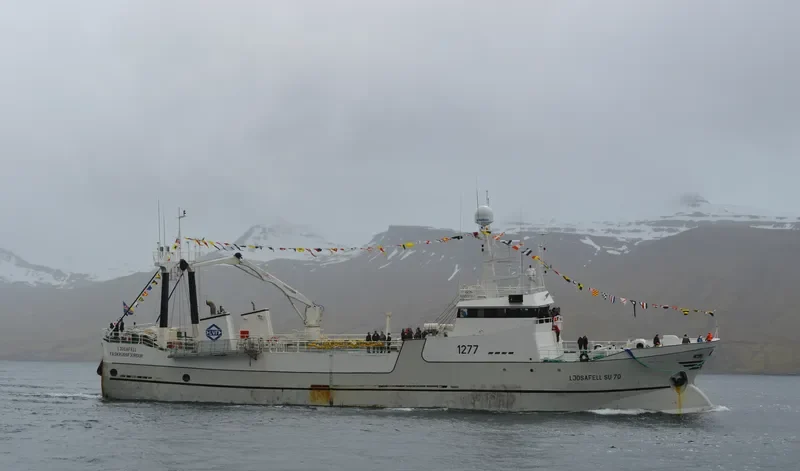 LJOSAFELL General Cargo IMO 7311965 photo 2