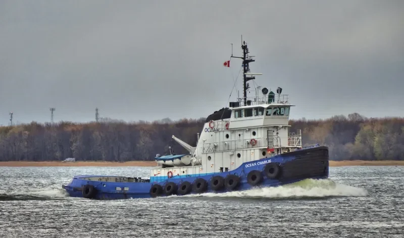 OCEAN CHARLIE General Cargo IMO 7312024 photo 8