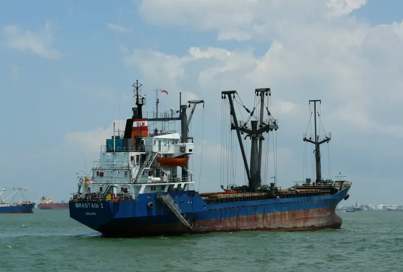 BRASTAGI I General Cargo IMO 7312385