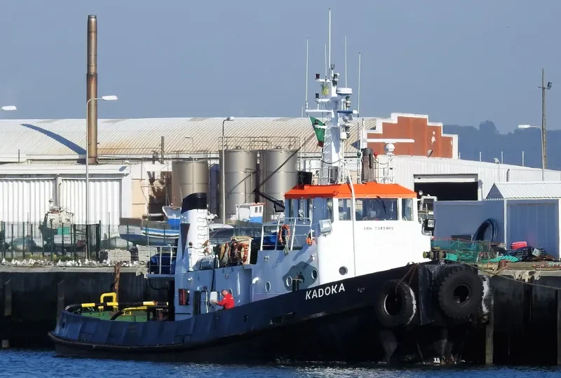 NAS PATHFINDER Tug Boat IMO 7312402 photo 8