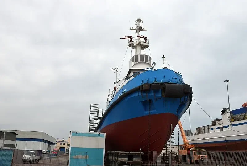 VIGORE General Cargo IMO 7312593