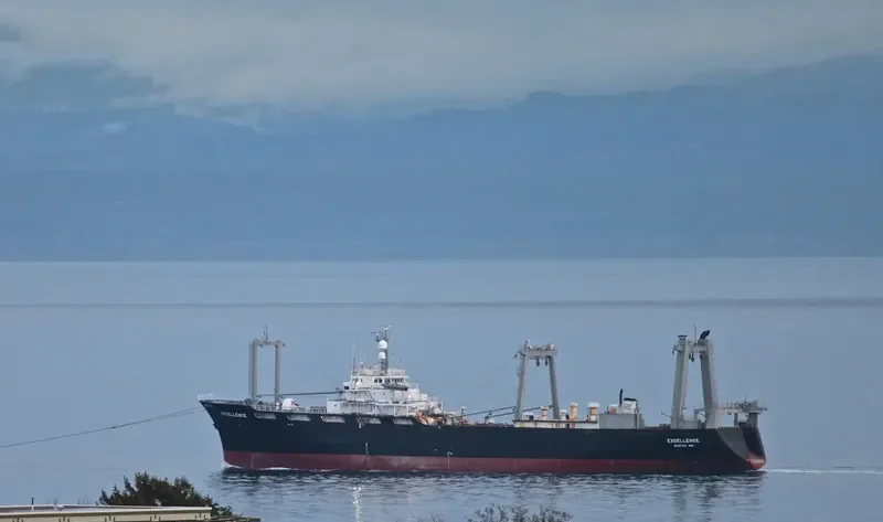 EXCELLENCE General Cargo IMO 7313652