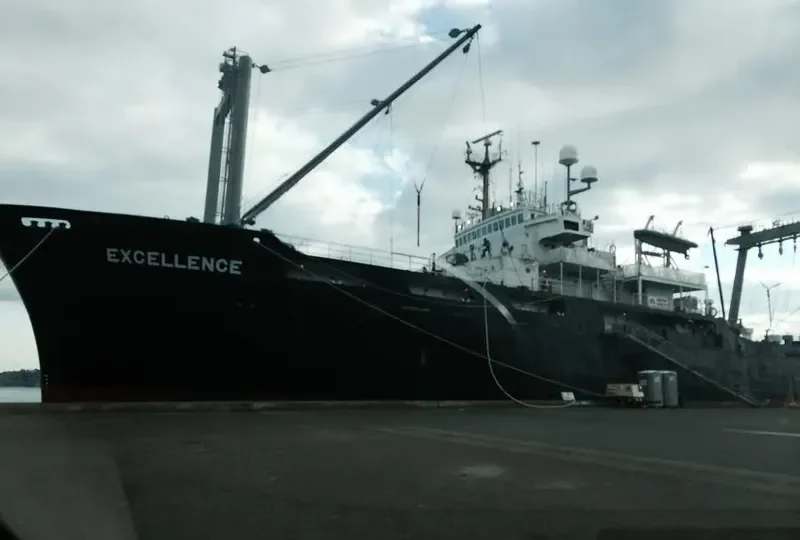 EXCELLENCE General Cargo IMO 7313652 photo 3