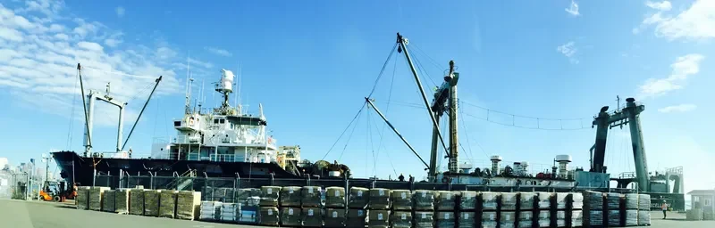 EXCELLENCE General Cargo IMO 7313652 photo 4