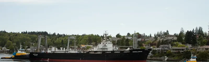 EXCELLENCE General Cargo IMO 7313652 photo 5