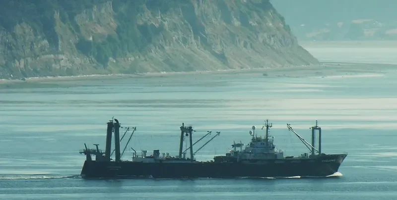 EXCELLENCE General Cargo IMO 7313652 photo 7