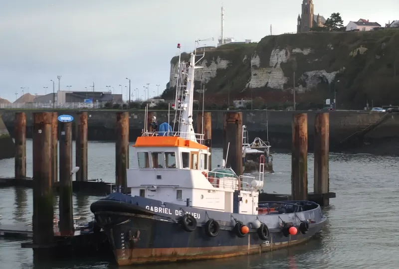 GABRIEL DE CLIEU Tug Boat IMO 7314709 photo 3