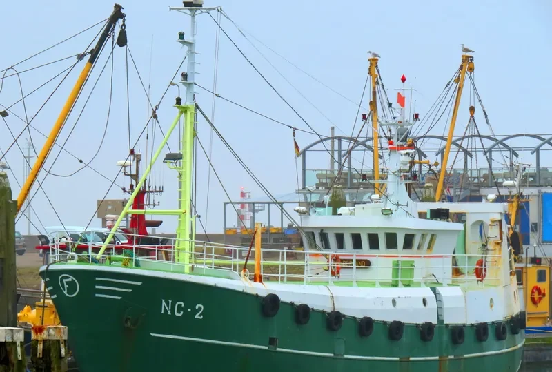 RHEIDERLAND Fishing Vessel IMO 7315521 photo 2