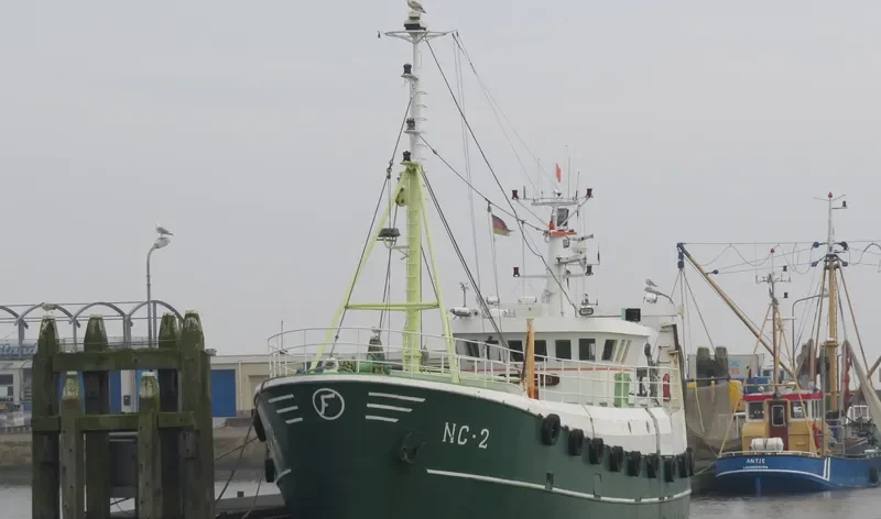 RHEIDERLAND Fishing Vessel IMO 7315521 photo 5