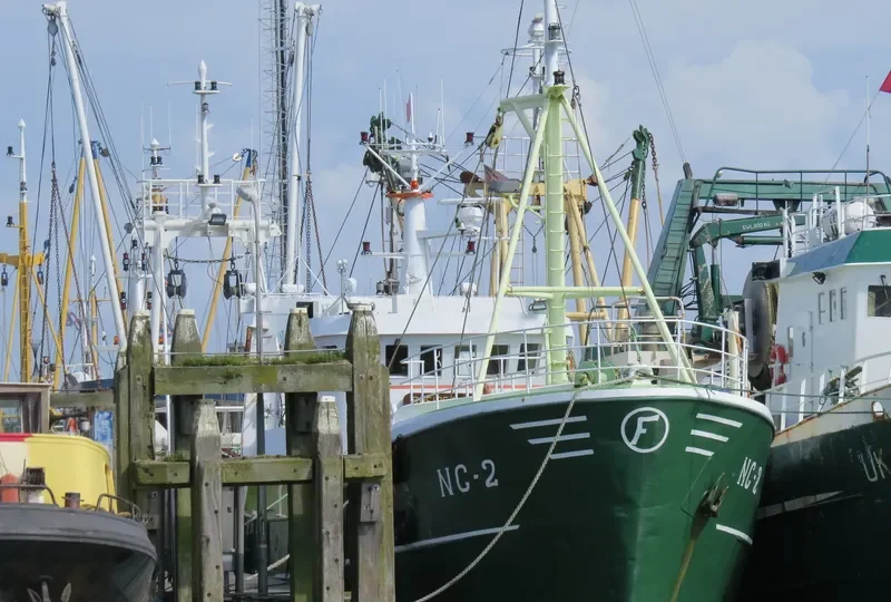 RHEIDERLAND Fishing Vessel IMO 7315521 photo 7