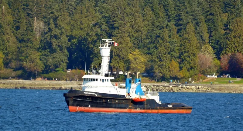 PACIFIC HICKORY General Cargo IMO 7315777 photo 2