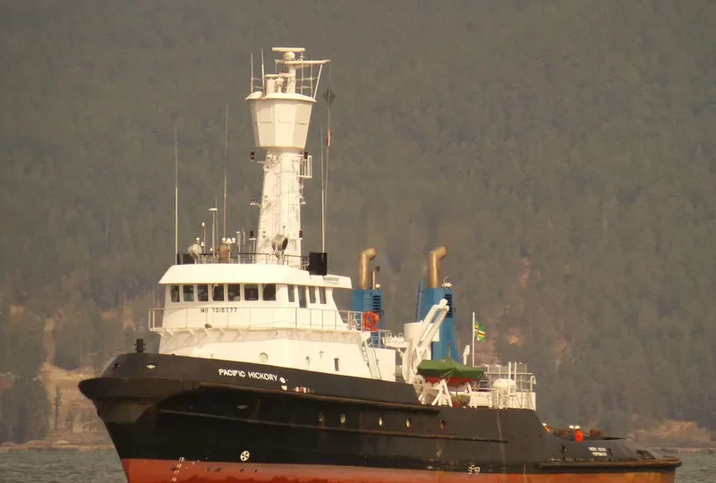 PACIFIC HICKORY General Cargo IMO 7315777 photo 10