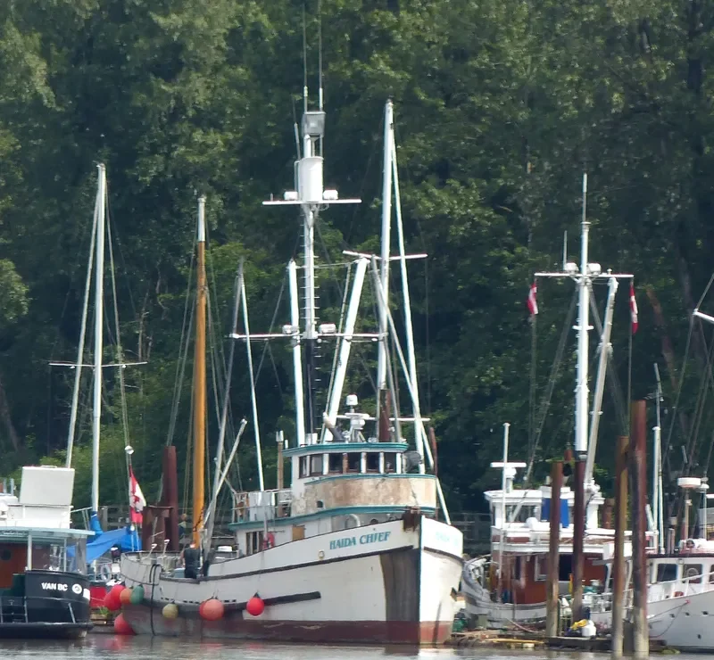 HAIDA CHIEF Fishing Vessel IMO 7316381 photo 3