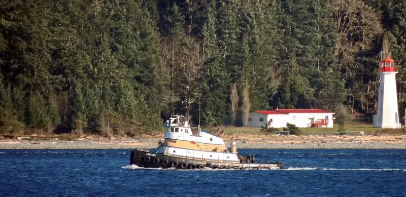 LELA JOY Tug Boat IMO 7316460 photo 3