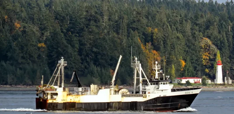 ARICA General Cargo IMO 7319046 photo 5