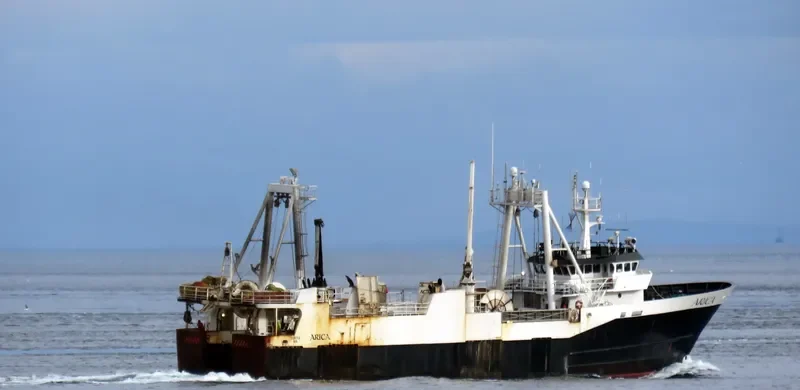 ARICA General Cargo IMO 7319046 photo 6