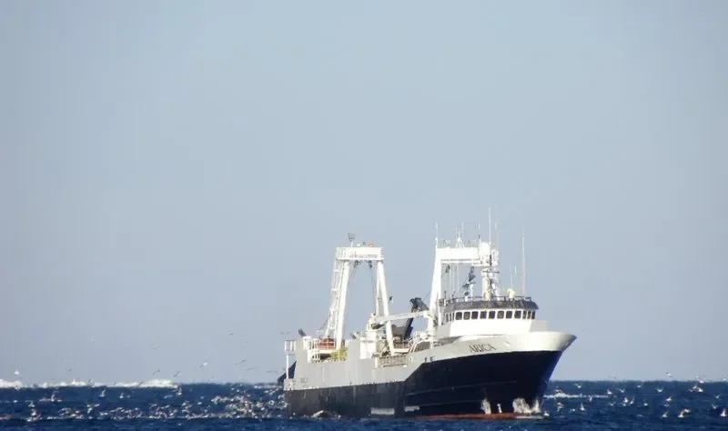 ARICA General Cargo IMO 7319046 photo 10