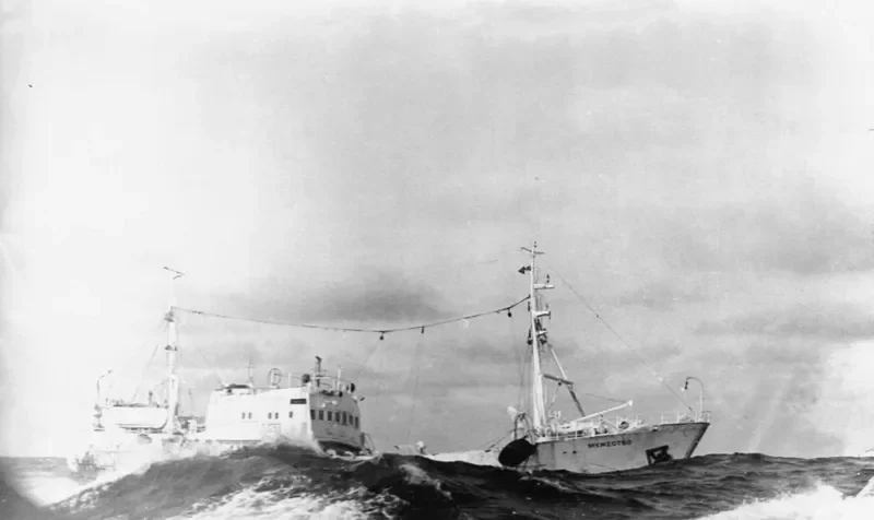 MUZHESTVO Fishing Vessel IMO 7319503