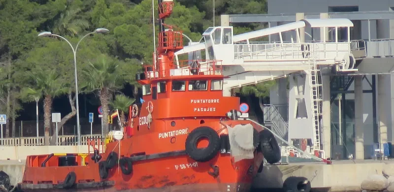 PUNTATORRE General Cargo IMO 7320356