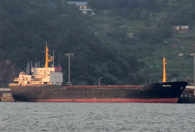 TEKLIBKA Ro-Ro IMO 7320382 photo 2