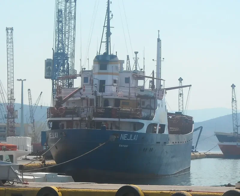 NEJLA 1 General Cargo IMO 7321283 photo 10