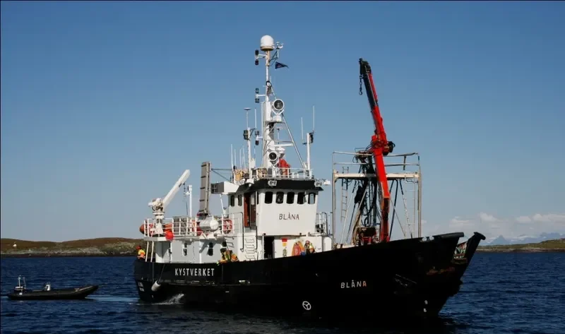 BLANA Offshore Vessel IMO 7321532 photo 9