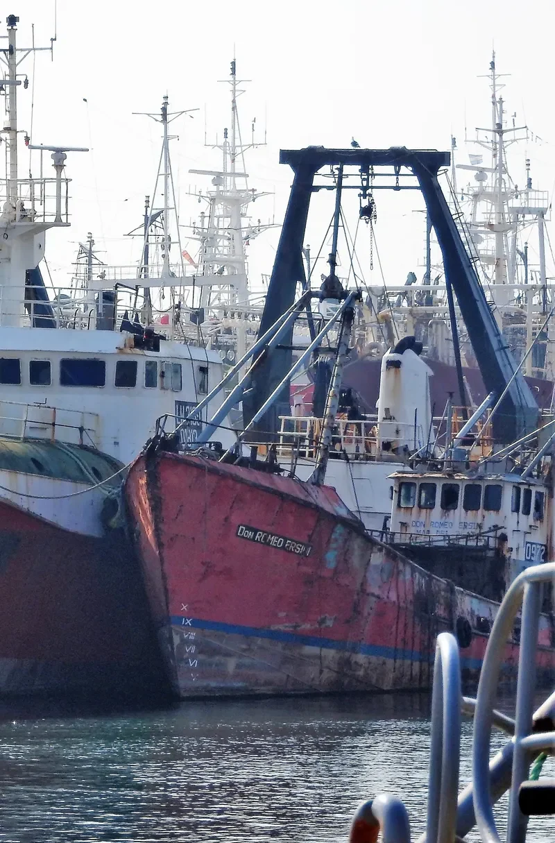 DON ROMEO ERSINI General Cargo IMO 7321776
