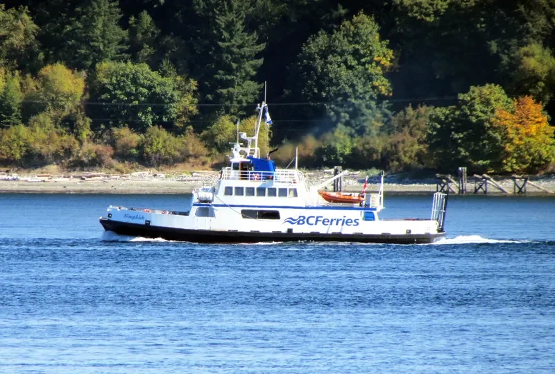 NIMPKISH Ro-Ro IMO 7324388 photo 3