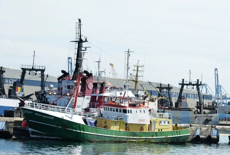 NEW GRANGE General Cargo IMO 7325320 photo 3