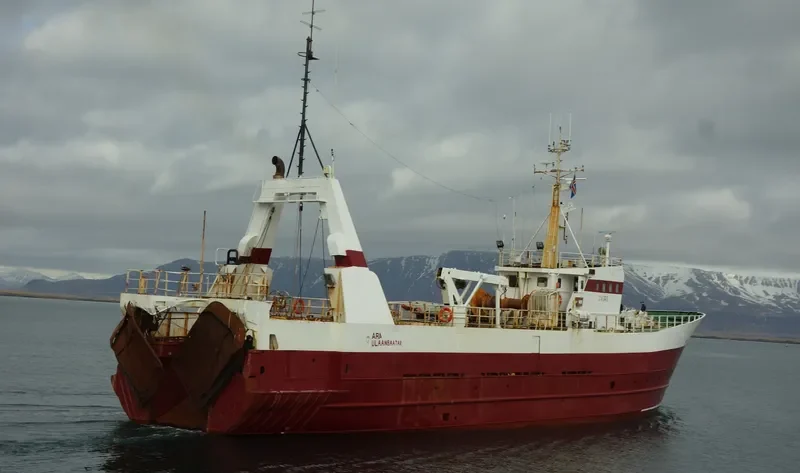 ARA General Cargo IMO 7325485