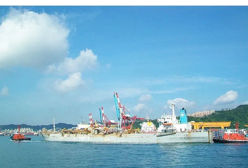 FU KUO HSIN NO.6 Bulk Carrier IMO 7327718 photo 6