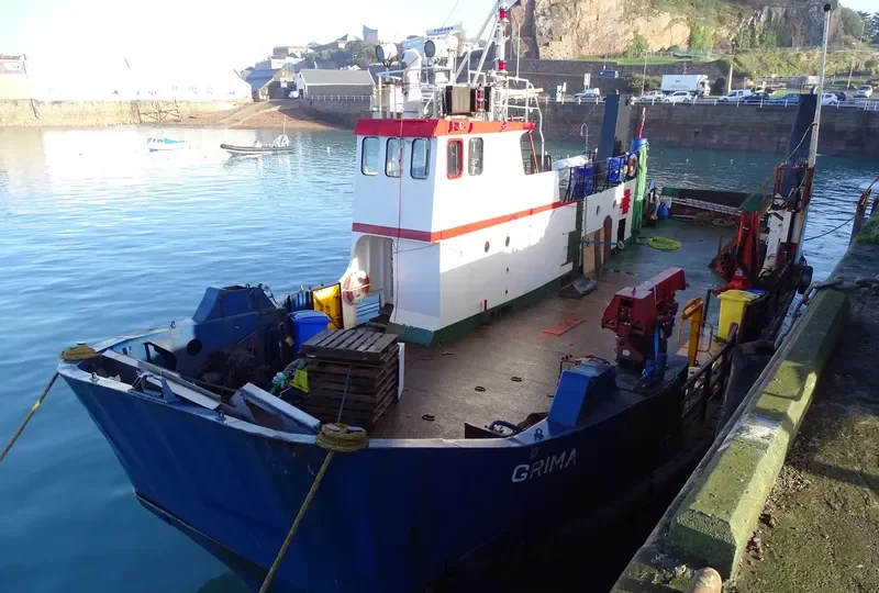GRIMA Ro-Ro IMO 7328205 photo 5