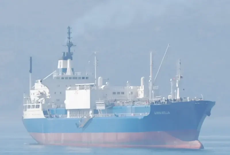 ANNABELLA General Cargo IMO 7328243 photo 4