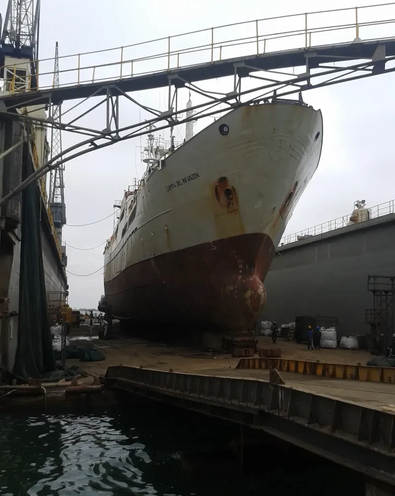 CAMPA DEL INFANZON General Cargo IMO 7328334