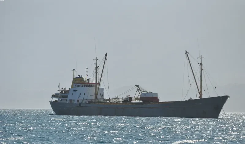 RAFAEL Bulk Carrier IMO 7328853 photo 3