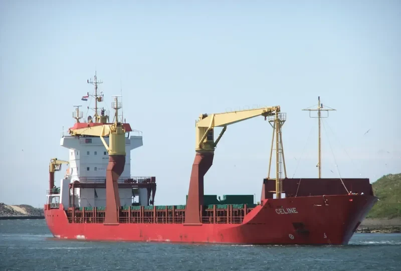 CELINE General Cargo IMO 7329027 photo 2