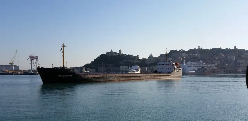 SORMOVSKIY 32 General Cargo IMO 7329144 photo 4