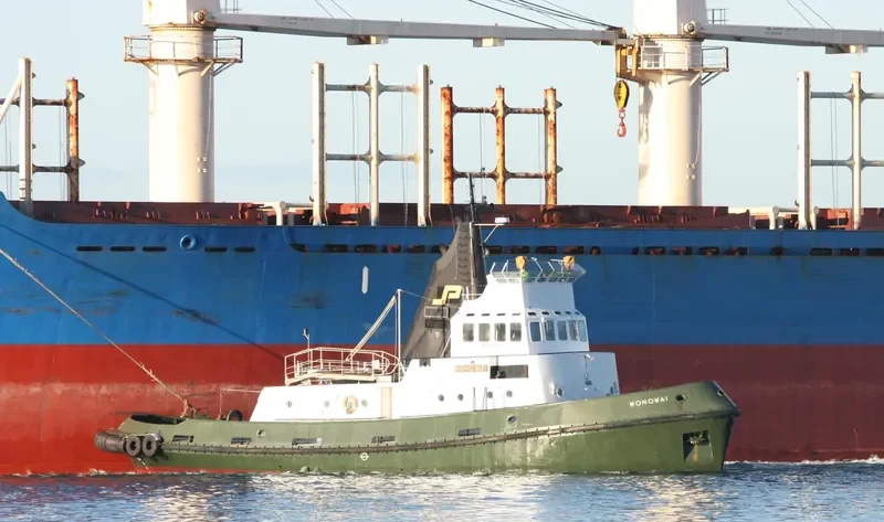 MONOWAI Tug Boat IMO 7329235 photo 3