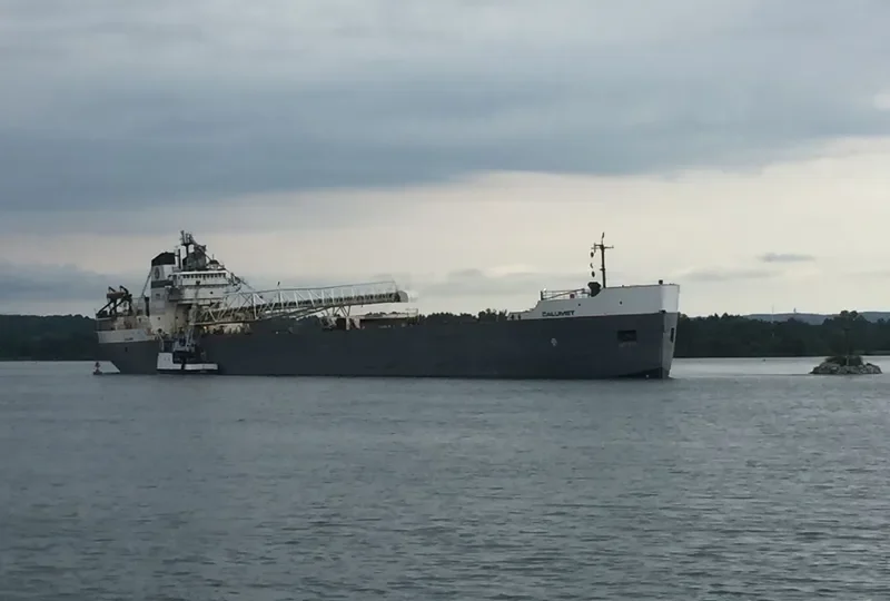 CALUMET Bulk Carrier IMO 7329314 photo 8