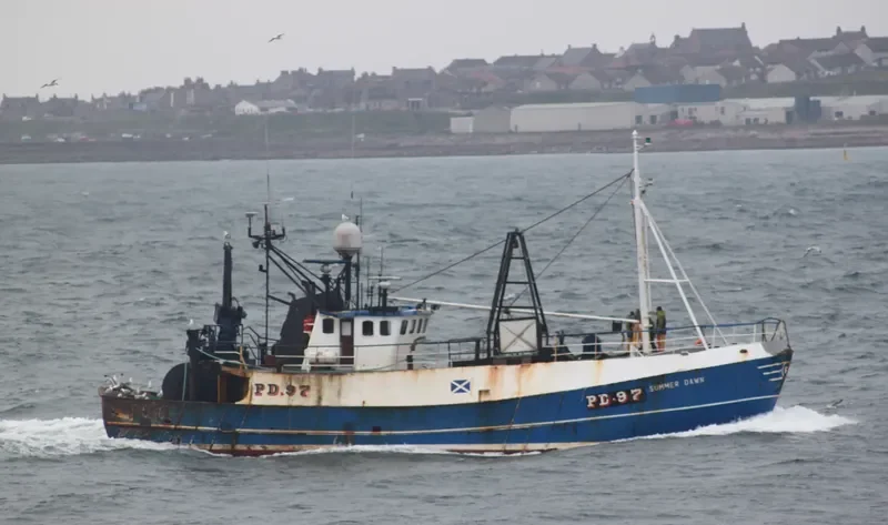 SUMMER DAWN Offshore Vessel IMO 7332452