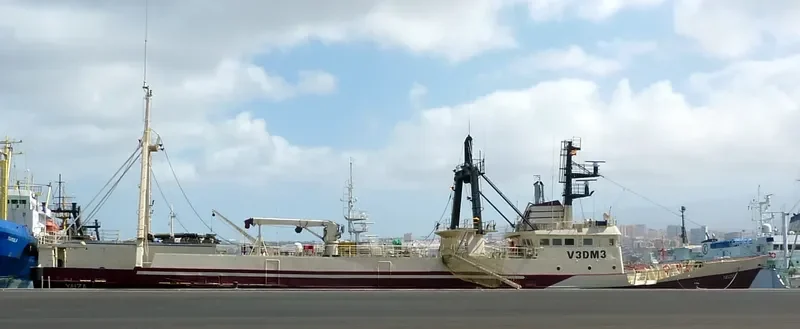 YAIZA General Cargo IMO 7333200 photo 4